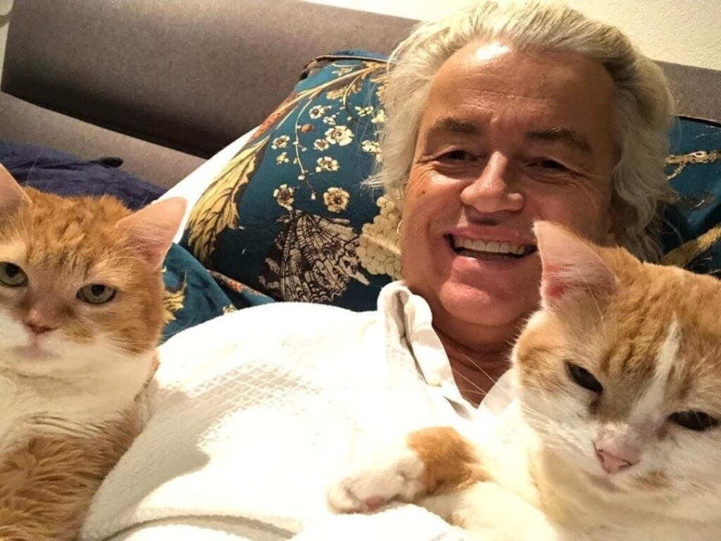 WhatsApp Image 2025 10 17 at 091046