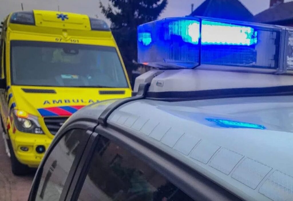 WhatsApp Image 2025 11 04 at 191557