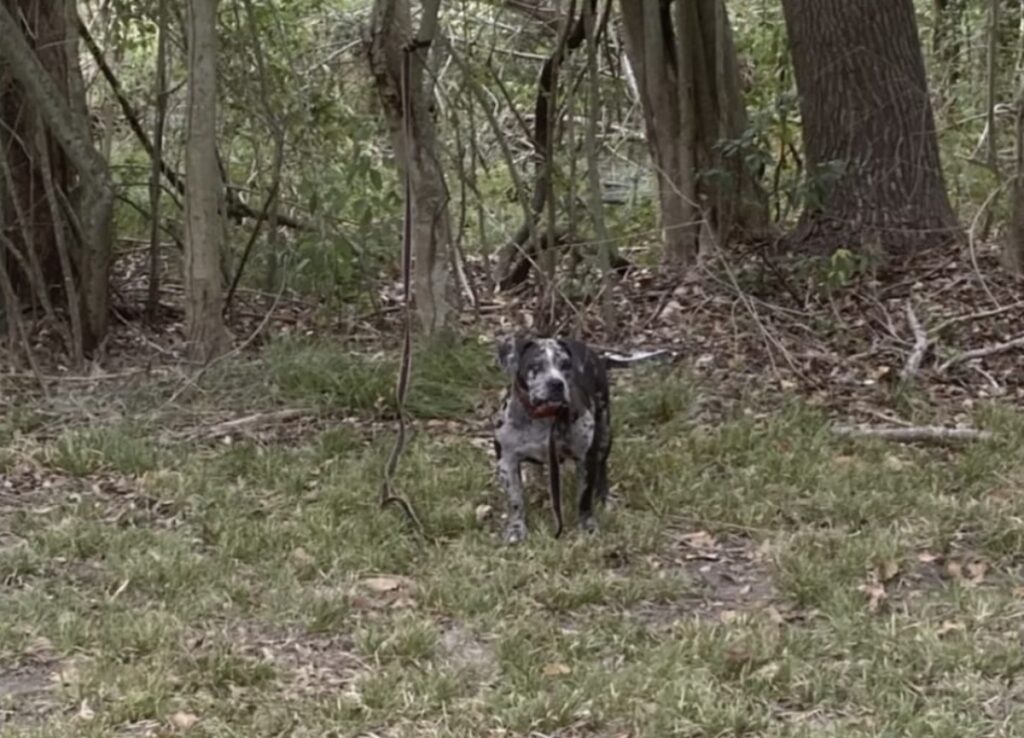 WhatsApp Image 2025 11 05 at 235115 - Vrouwen Zaakjes WhatsApp Image 2025 11 05 at 235115