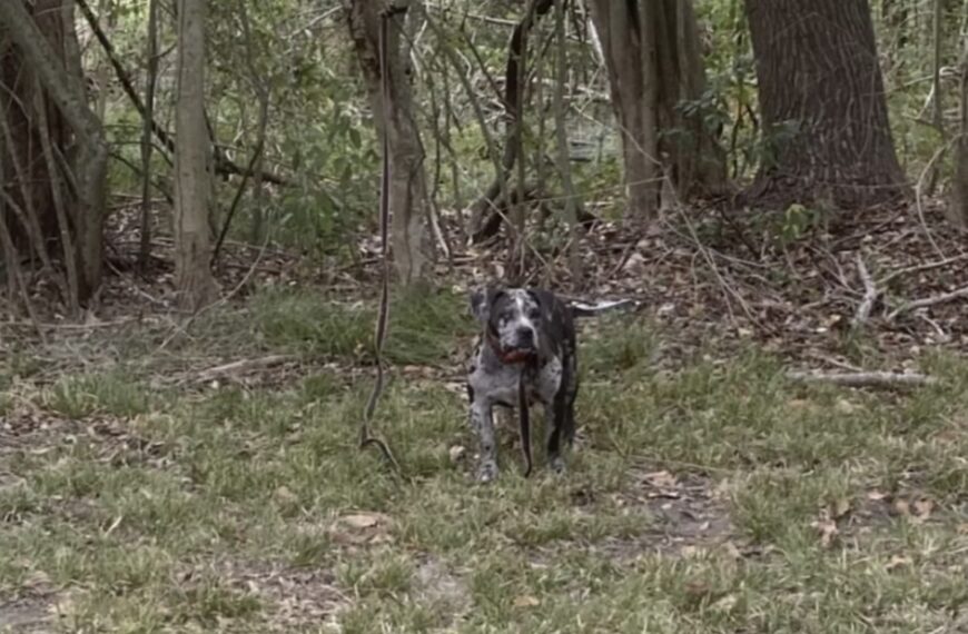 WhatsApp Image 2025 11 05 at 235115