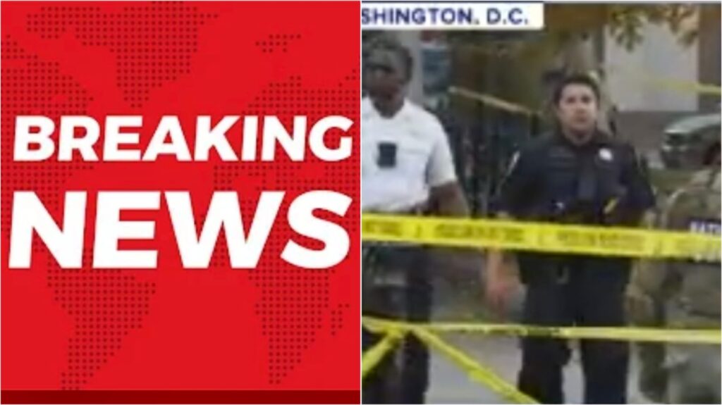 WhatsApp Image 2025 11 26 at 212901