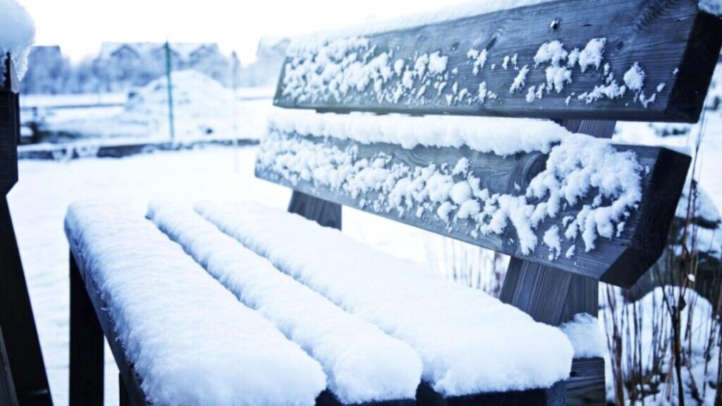 w - Vrouwen Zaakjes w