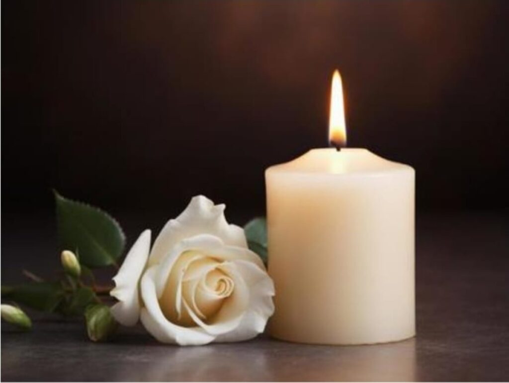 WhatsApp Image 2025 12 08 at 15.25.41